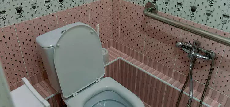 Meeting Diverse Needs With Accessible Restroom Solutions in Carson, CA