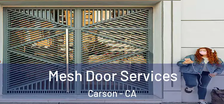  Mesh Door Services Carson - CA